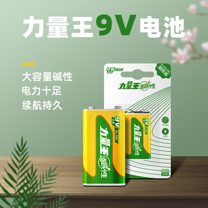 凌力9v電池堿性方形九伏萬能表干電池煙霧報警器話筒麥克風通用